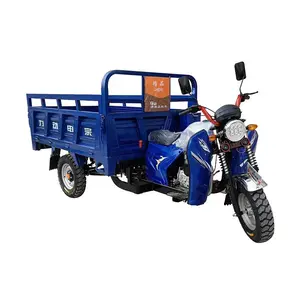Cina nuovo più economico moto seduto triciclo Cargo agricolo 3 ruote moto triciclo triciclo elettrico