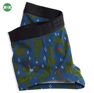 <span class=keywords><strong>Testo</strong></span> personalizzato sulla cintura biancheria intima stampa Cactus pantaloncini da ragazzo per donna 95/5 poliestere/spandex mutandine per donna S M L XL 2XL 3XL - Product Image 2