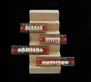 CE/ISO Set gigi sintetis gigi, Multi corak mulut penuh akrilik ukuran Normal gigi - Product Image 3
