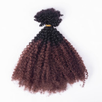 Super Septembre : Cheveux Humains Bruts 100% Shoumei Afro Kinky en Vrac pour Femmes Noires, Idéal pour la Création de Dreadlocks et Extensions de Locs