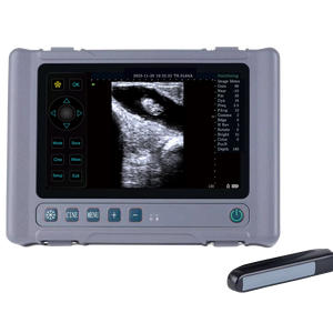เครื่องอัลตราซาวนด์สัตวแพทย์แบบพกพา DMSU31 หลากหลายรูปแบบ พร้อมหน้าจอขนาด 8 นิ้ว กันน้ำ ใช้งานได้นาน 8 ชั่วโมง - Product Image 1