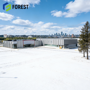 Entrepôt en structure d'acier galvanisé pour centres commerciaux et appartements – Solutions de centres logistiques préfabriqués à longue portée avec grille CE certifiée - Product Image 1