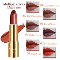 Fabricants de rouge à lèvres personnalisés avec logo OEM en Chine, fournisseur de cosmétiques de maquillage, vente en gros de rouge à lèvres mat, rouge à lèvres à étiquette privée