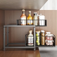 Étagère de rangement coulissante en métal à double couche pour évier, panier de rangement sous évier pour bouteilles d'épices et canettes, organisateur de cuisine