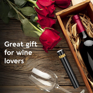 Ouvre-bouteille de vin à pression d'air de haute qualité <span class=keywords><strong>tire</strong></span>-<span class=keywords><strong>bouchon</strong></span> accessoires de cuisine coffret cadeau <span class=keywords><strong>avec</strong></span> <span class=keywords><strong>aiguille</strong></span> à gaz pour une utilisation au bar - Product Image 6