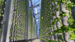 Soluzione di coltivazione per agricoltura verticale in agricoltura con sistema aeroponico per Container da agricoltura - Product Image 3