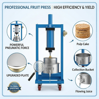 WILK Hoge Efficiëntie Multifunctionele RVS 304 Drukvat Olie-extractor Sapmachine Fruit- en Groentesapcentrifuge