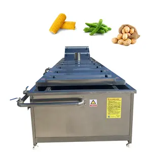 Sauerkraut Rinsing Machine Pickles Bamboo Shoots Jelly Soft Packaging Sterilization Line Prepared Vegetable Rinsing Machine