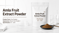 Poudre d'extrait de fruit d'Amla à base de plantes, riche en vitamine C, qualité alimentaire, emballage sous vide en fût, vente en gros usine GMP