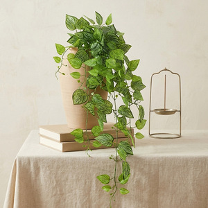 Plante Artificielle Suspendue Xinchengzhi 100-200cm, Feuilles Vertes, Décoration Intérieure, Lierre Bionique en Plastique, Verdure Murale, Décoration Maison - Product Image 2