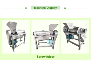 Máquina extractora de jugo de prensa de frutas y verduras de tornillo eléctrico multifuncional de 500 Kg/H/máquina industrial para hacer jugo en espiral - Product Image 3