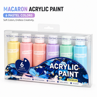 Ensemble de peinture acrylique pastel Macaron, 6 couleurs, 60 ml, emballage en boîte transparente, peinture non toxique pour enfants et étudiants, bricolage scolaire, art et artisanat