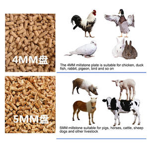 Mangeoire en forme de maïs pour animaux, verticale de blé, nourriture pour animaux - Product Image 6