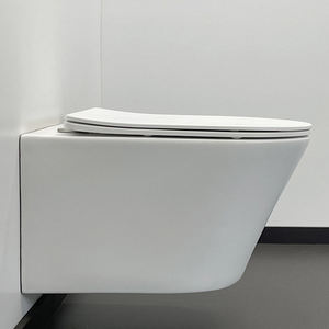 <span class=keywords><strong>WC</strong></span> combiné avec réservoir à double chasse, élément de salon, siège en plastique intégré - Product Image 5