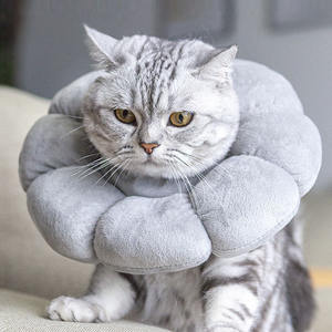 Waterdichte <span class=keywords><strong>Cat</strong></span> Recovery Kraag Anti Bite Lik Wond Genezing Elizabethan E Kraag Voor Katten Het Hele Seizoen Paarse Bloemstijl - Product Image 3