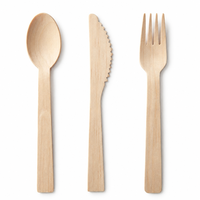 Ensemble de couverts en bambou jetables, cuillère, couteau, fourchette, vaisselle durable et écologique, ustensiles de table en bambou, design de couverts en bambou pour le déjeuner et le dîner