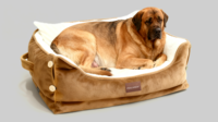 Maison Intelligente pour Animaux de Compagnie avec Analyse du Sommeil et Évaluation de la Vitalité - Niche Intelligente pour Chiens