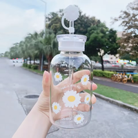 Bouteille d'eau en verre borosilicate 350ML 500ML 750ML, sans BPA, résistante à -20 à 150 degrés Celsius, pour les voyages, la cuisine, les infusions de fruits, à large ouverture