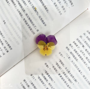 Marcapáginas de flores secas selladas de plástico, marcador de espécimen botánico, hoja plástica <span class=keywords><strong>Real</strong></span>, marcador de libros plastificado, palo de disparo - Product Image 3