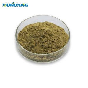 100% Natuurlijke 98% Rosmarijnzuur Rozemarijn Blad Extract Poeder - Product Image 3