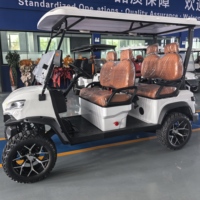 Carrito de Golf Eléctrico de 6 Plazas para Bodas, Eventos, Hoteles, Transporte en Comunidades con Portones, Residencias para Personas Mayores, Centros de Retiro