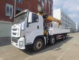 16吨液压伸缩臂式汽车起重机8x4重型变速箱泵高效率23.3米起重高度用于建筑 - Product Image 2