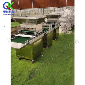 Seminatrice Automatica per Vassoi a Cavità, Macchina ad Alta Efficienza per la Semina di Meloni, Frutta, Verdura e Fiori - Product Image 4