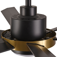 # Ventilateur de plafond décoratif moderne à 6 pales de 60 pouces, moteur silencieux à courant continu, avec télécommande, usage commercial et domestique, vente chaude 3274