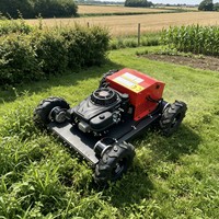 Tondeuse à gazon industrielle compacte à essence, télécommandée, très vendue, adaptée à de multiples scénarios