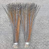 Plumes de faisan artificielles Xi Yu Arts XY-RPF en gros, 60-160 cm+, longues, boîte en carton pour utilisation au carnaval