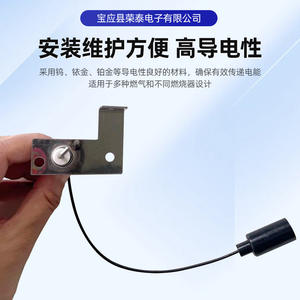 Electrodo de Encendido Rongtai RT-009, Sensor de Chispa de 12 V CC para Calentador de Agua de RV, Pieza de Repuesto - Product Image 3