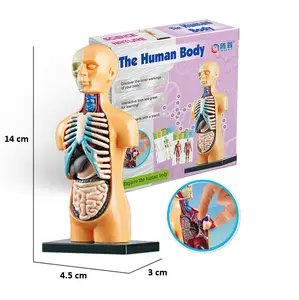 DIY 인체 신체 조립 도매 교육 지능형 장난감 세트