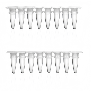 Preço de fábrica 0,2 Ml <span class=keywords><strong>Pcr</strong></span> Tubos Com Plana Capsfree de Dnase 8 Tiras <span class=keywords><strong>Pcr</strong></span> Tubos De Plástico <span class=keywords><strong>Pcr</strong></span> - Product Image 1