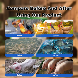 Thức ăn lớp kẽm Oxit premix chất dinh dưỡng phụ gia khỏe mạnh tăng trưởng khuyến mãi cho gia cầm chăn nuôi axit amin dấu vết khoáng chất bột - Product Image 4