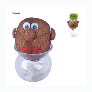 Grashoofd Speelgoed Pop Potplanten Desktop Decoratie Ecofly Groeien Planten Educatieve Kit Uniek Cadeau Voor Kinderen En Volwassenen - Product Image 2