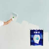 Peinture murale intérieure blanche Hualong de haute qualité, laquée brillante ou mate, idéale pour l'application de revêtements.