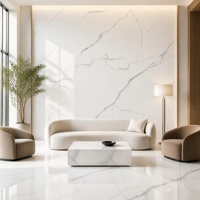 Dalle de pierre frittée polie Venatino blanche avec veine grise fine pour comptoir, mur, sol et décoration intérieure