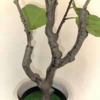 Penjualan Pabrik tanaman Bonsai bunga Hortensia asli berkualitas tinggi dengan Simulasi sentuhan untuk dekorasi dalam ruangan taman Hotel