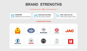 Manuel diesel standard de l'EURO 6 de roue motrice 4x2 de manipulateur de déchets à chargement automatique personnalisable d'OEM 6 rentable - Product Image 6