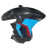 Carénage Moto Complet en Fibre de Carbone Modifié Carbon Art Nouveau 2024 pour S/M1000RR Version Thunder, avec Aile Fixe Avant et Garde-Boue