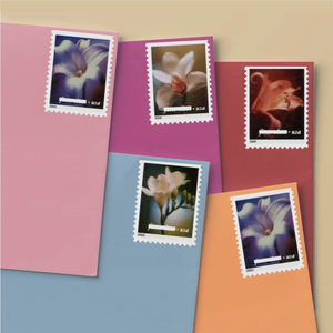 <span class=keywords><strong>Timbres</strong></span>-poste Forever 2000 de haute qualité les mieux notés, motif Quatre Fleurs, 100 <span class=keywords><strong>timbres</strong></span> drapeau américain, étiquettes patriotiques postales américaines, stock local américain - Product Image 4
