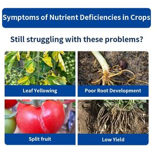 Suplemen nutrisi cair organik untuk tanaman lapangan kalsium Magnesium Boron seng besi kalium imunopresi meningkat - Product Image 2