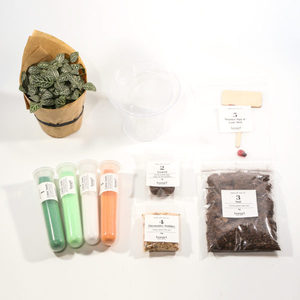 Kit fai da te fatto a mano vaso artificiale fiori naturali da tavolo Bonsai Kit stile Country Design da giardino realizzato in fibra vegetale
