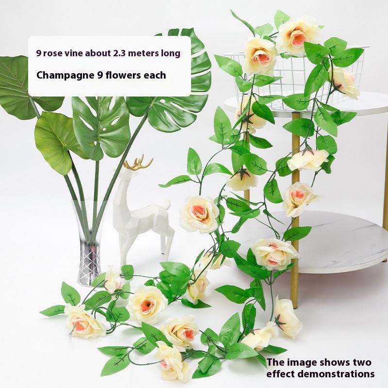 Champagne 9flowers each