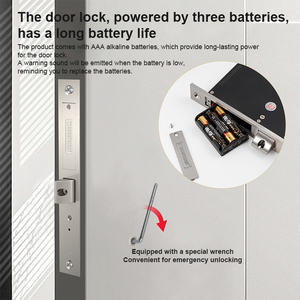 Cerradura de Puerta Biométrica Inteligente con Huella Dactilar Integrada, Cilindro Cuádruple Oculto, Lector de Tarjetas IC, Electrónica Minimalista y Discreta - Product Image 6