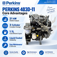 Moteur diesel industriel Pekins 403D-11, 21 kW, 1,1 L, refroidi par liquide, pour générateur, pompe à eau, machines