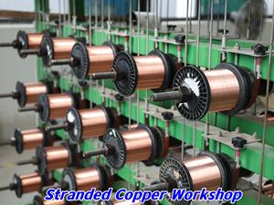 Cable Espiral QUANWEI de 2-5 Núcleos, 0.25-0.75mm, Cubierta de PVC Flexible, Conectores AS/NEMA/CEI, Cobre Puro, 15m, Longitud Personalizada de Fábrica - Product Image 6