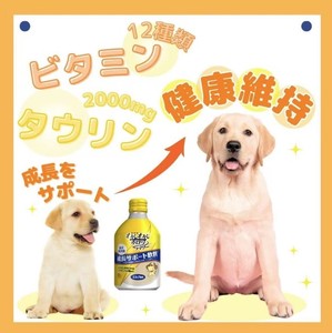 ชุดอุปกรณ์เสริมเพื่อสุขภาพสำหรับสุนัขอาหารเสริมเพื่อสุขภาพสำหรับสัตว์เลี้ยง - Product Image 4