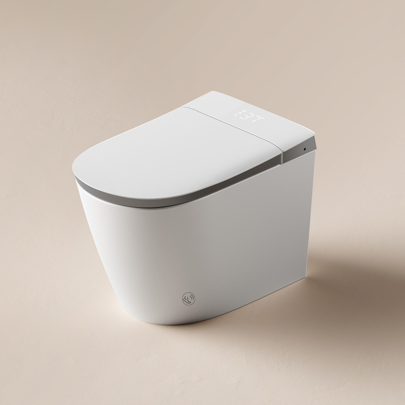 Floor Mounted Bathroom Toilet and Sink