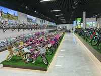 Vélo de montagne pliable pour adultes à 24 vitesses avec frein à disque en acier de 26 pouces à bas prix